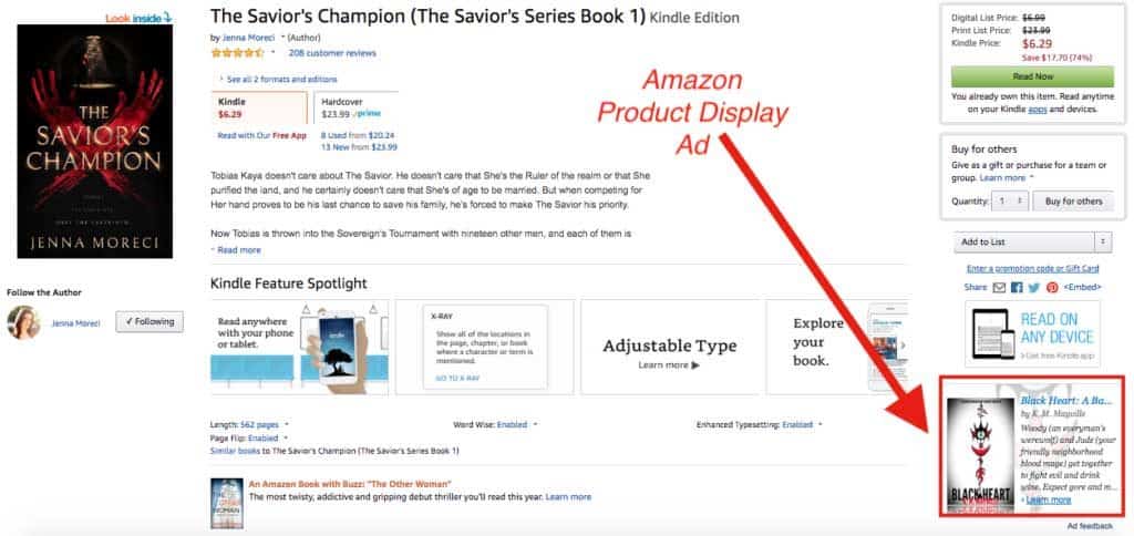 Advertising A Book On Amazon - Display Ad Example