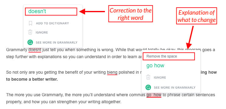 screenshot showing grammarly in action