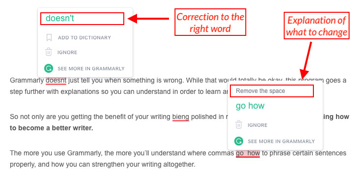 Grammarly Review 2020 Pros Cons And Best Features For Writing