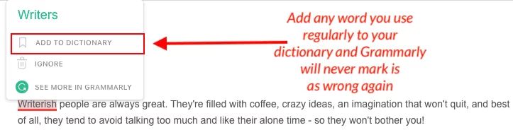 screenshot showing grammarly's custom dictionary feature