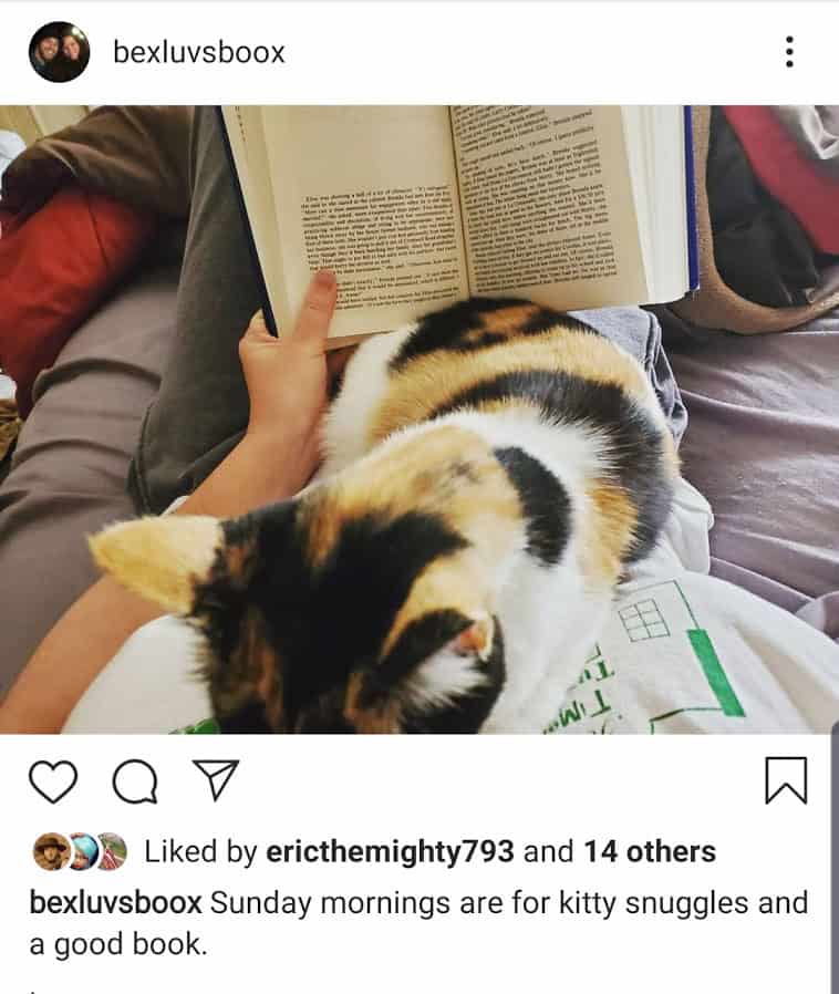 Writing About Pets Instagram Image Of A Cat And A Book