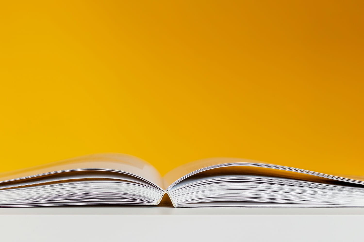 What Can Authors Expect from the Publishing Industry This Year?