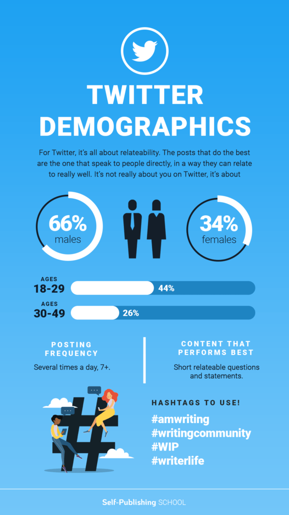 infographic showing twitter demographics