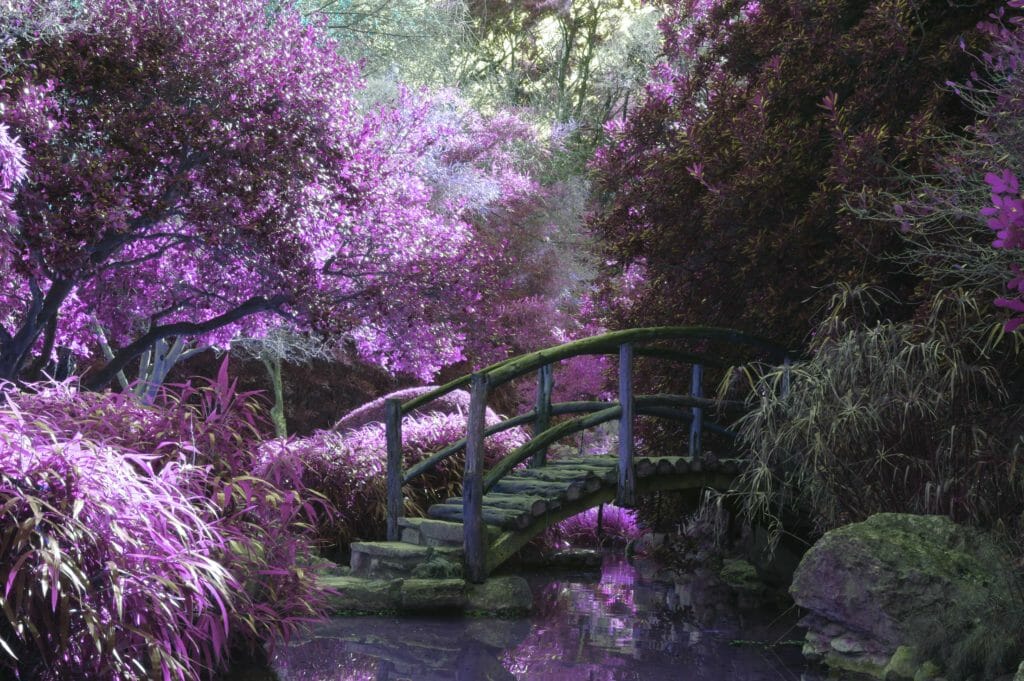 worldbuilding process image of a bridge with purple plants