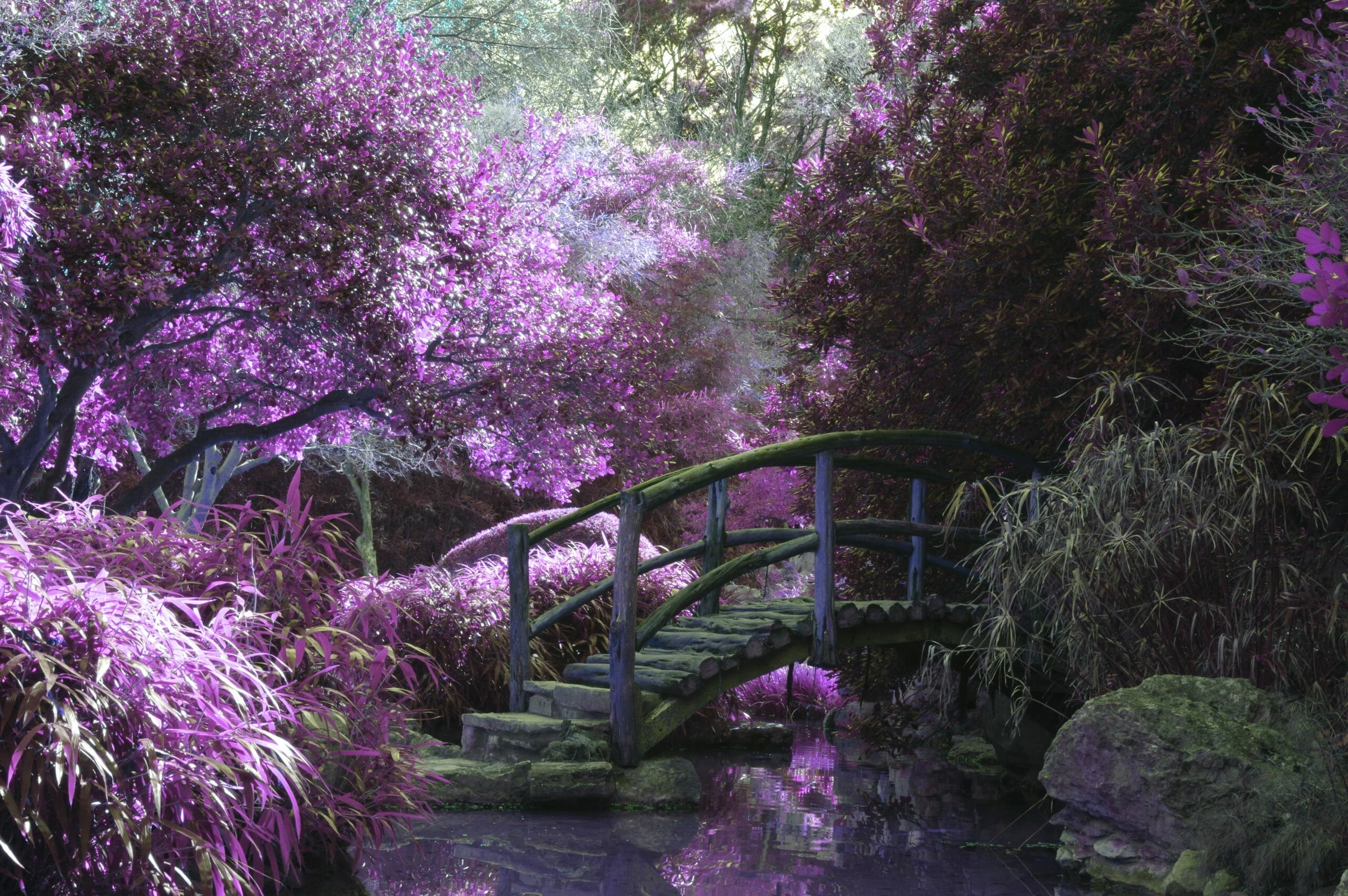 Worldbuilding: Your Full Process for Creating a Fictional World