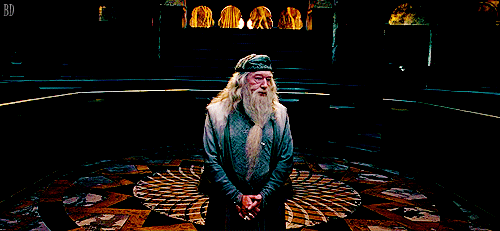 Static Character Example Dumbledore
