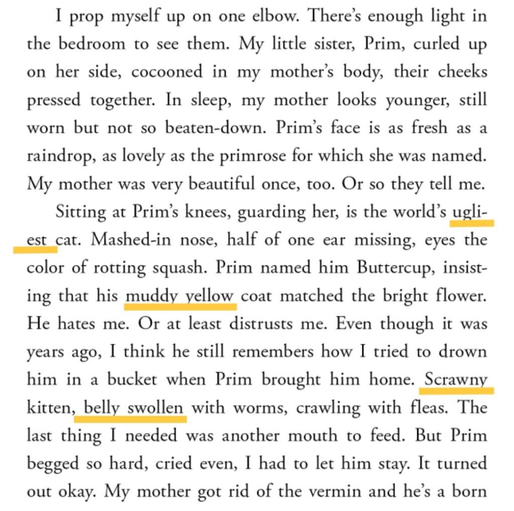 example of using descriptive adjectives in writing from The Hunger Games example of using descriptive adjectives list in writing from The Hunger Games